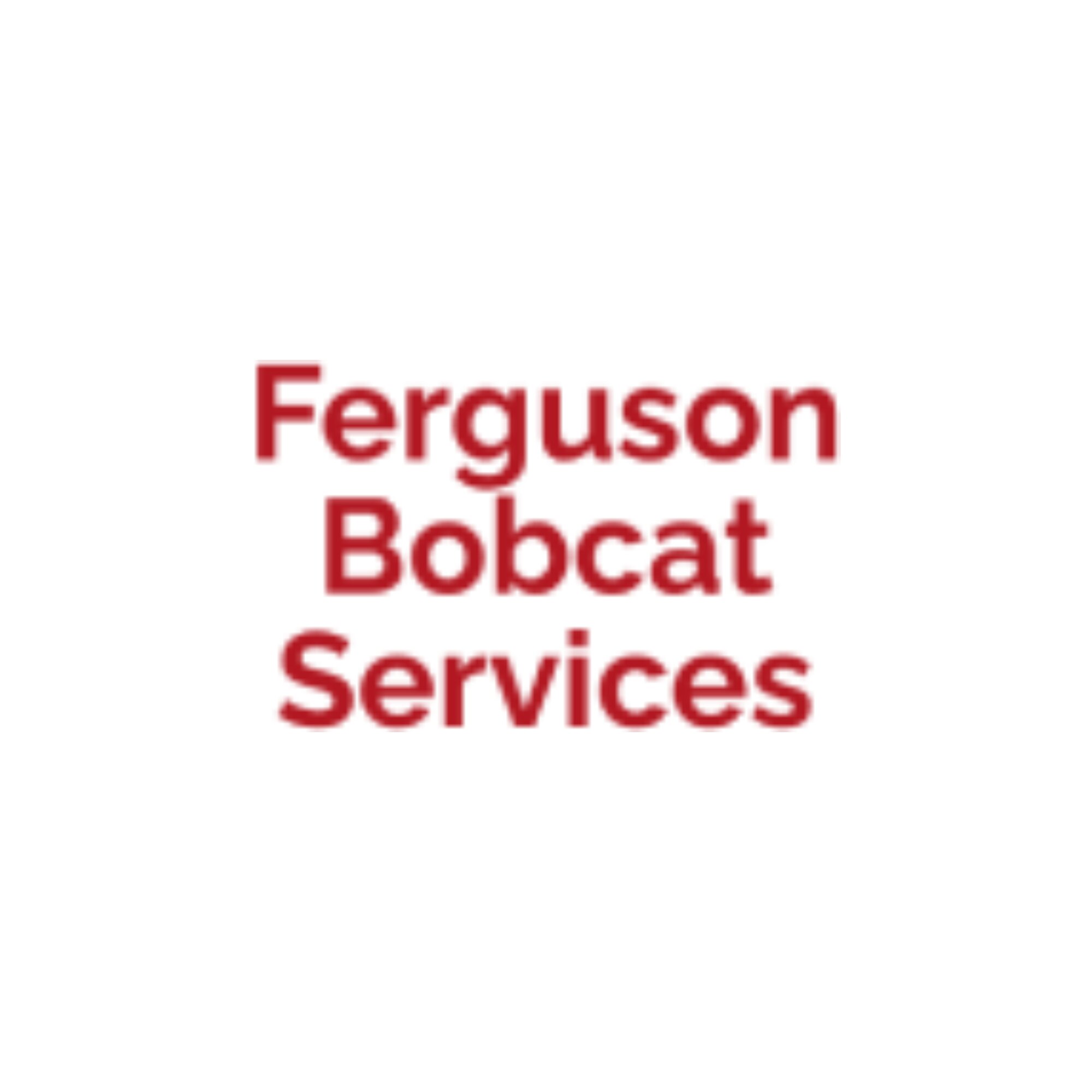 Ferguson Bobcat Services